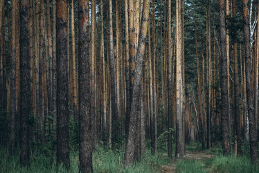 Similar image 21107091