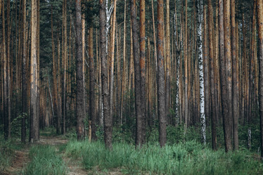 Similar image 21107092