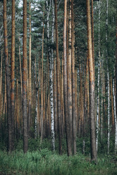 Similar image 21107093