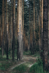 Similar image 21107094