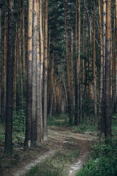 Similar image 21107095