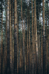 Similar image 21107108