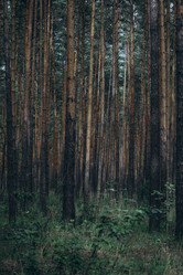 Similar image 21107109