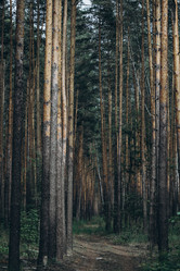 Similar image 21107110