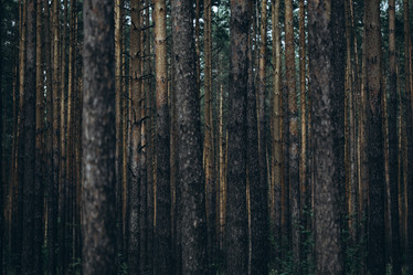 Similar image 21107111