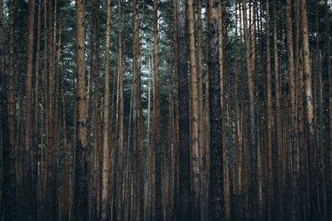 Similar image 21107112