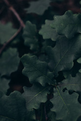 Similar image 21107115