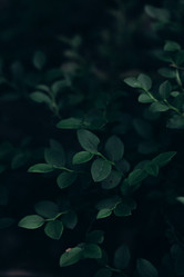 Similar image 21106950