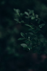 Similar image 21106951