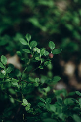 Similar image 21106952