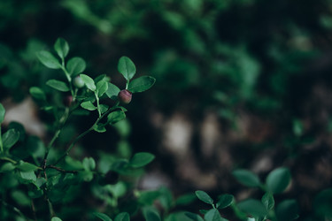 Similar image 21106953