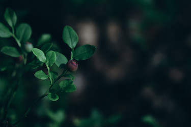 Similar image 21106954