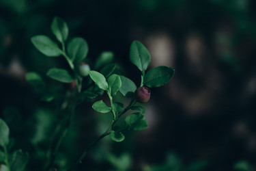 Similar image 21106955