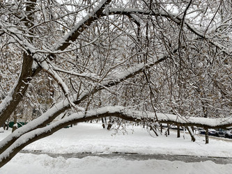 Similar image 21127153