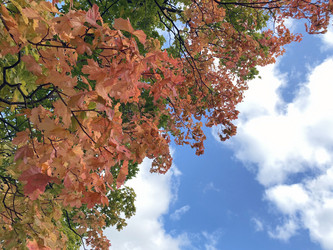 Similar image 21127160