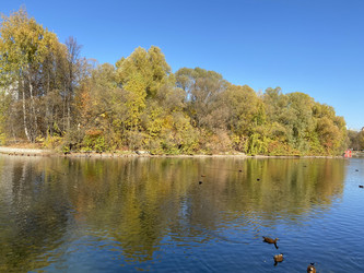 Similar image 21130816