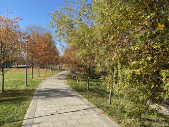 Similar image 21130820