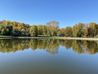 Similar image 21130821