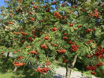 Similar image 21131045