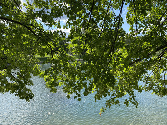 Similar image 21131046