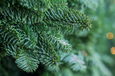 Similar image 21110354