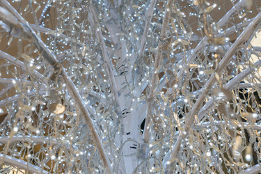 Similar image 21112282