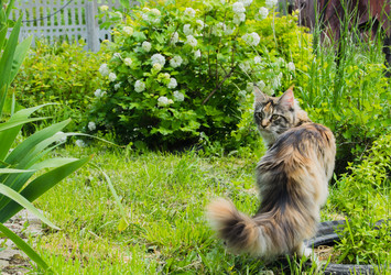 Similar image 21104733