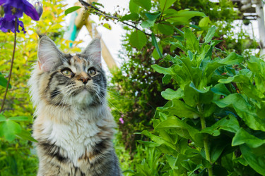 Similar image 21104735