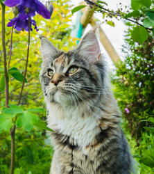 Similar image 21104736