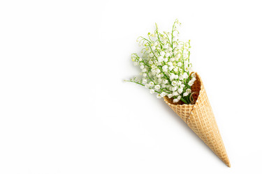 Similar image 21127536