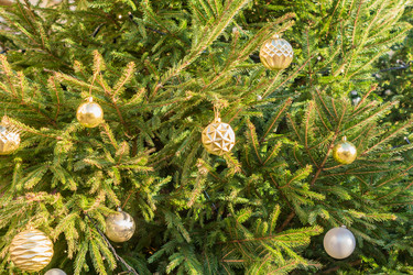 Similar image 21104748