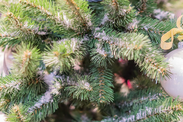 Similar image 21110404