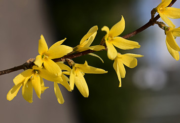 Similar image 21106745