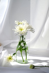 Similar image 21106746