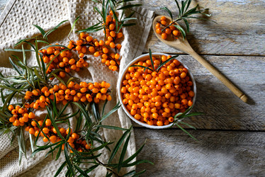 Similar image 21106755