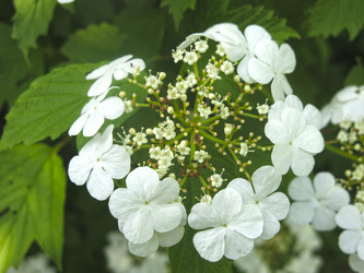 Similar image 21104912