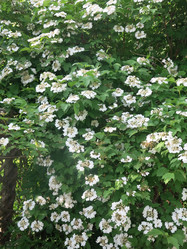 Similar image 21104913