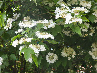 Similar image 21104914