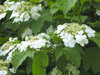 Similar image 21104919