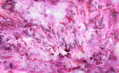 Similar image 21131049