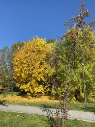 Similar image 21131053