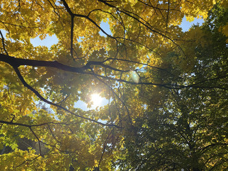 Similar image 21131104