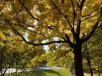 Similar image 21131106