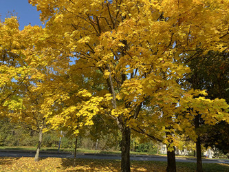 Similar image 21131108