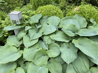 Similar image 21131109