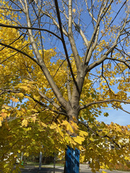 Similar image 21131110