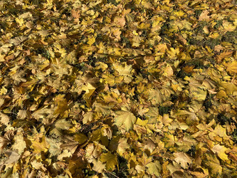 Similar image 21131111