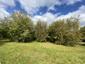 Similar image 21131113