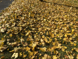 Similar image 21131116