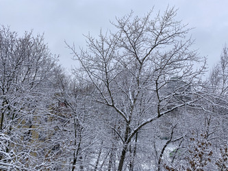 Similar image 21131117